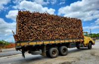 Polícia Rodoviária Federal apreende carga ilegal de madeira na BR 402, em Umirim (CE)