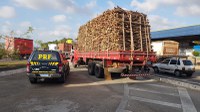 Policiais Rodoviários Federais apreendem carga de madeira ilegal na BR 116, no Eusébio (CE)