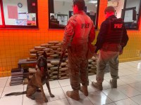 Com o auxílio de cão farejador, PRF apreende 115 kg de drogas em Caucaia (CE)