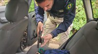 Polícia Rodoviária Federal apreende arma de fogo ilegal durante abordagem na BR 116, em Milagres (CE)