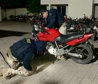 Receptação culposa: Motocicleta sem lacre chama atenção da PRF em Itapajé (CE)