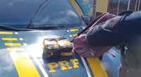 PRF realiza mais uma apreensão de drogas no interior do Estado do Ceará