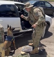 Com auxílio de cães farejadores, PRF apreende 12,5 kg de maconha, em Caucaia (CE)