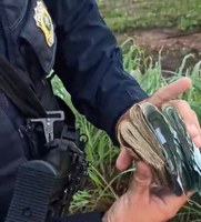 Estelionatário é preso pela PRF horas depois de furtar agência bancária no interior do Ceará