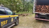 PRF apreende madeira nativa transportada sem licença no Ceará