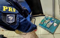 Maconha e cocaína em ônibus: PRF descobre drogas escondidas em bagagem