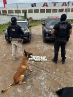 PRF e PCCE apreendem cocaína em caminhão na BR-230, em ação integrada em Várzea Alegre/CE