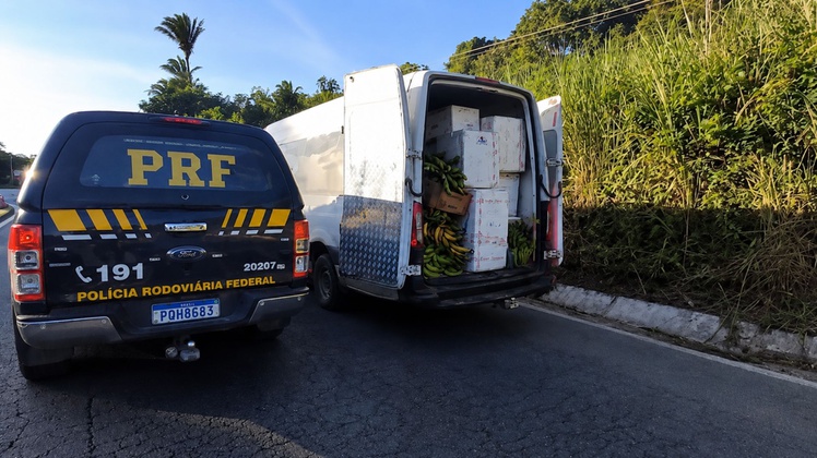 Carga de pescado transportada com irregularidades sanitárias