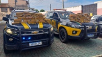 PRF e PMCE apreendem mais de 67 kg de skunk escondidos em caminhão na Caucaia (CE)
