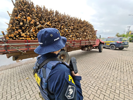 PRF flagra crime ambiental com transporte irregular de madeira nativa na BR-116, em Aquiraz (CE)