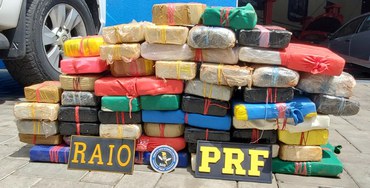 Drogas apreendidas na operação