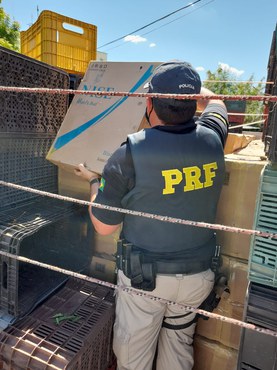 IMG 4 - PRF faz primeira grande apreensão de cigarros no Ceará em 2021