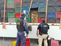 PRF faz primeira grande apreensão de cigarros no Ceará em 2021