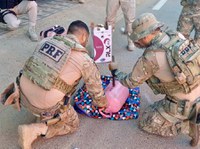 PRF apreende 4,4 kg de skunk em Tianguá/CE