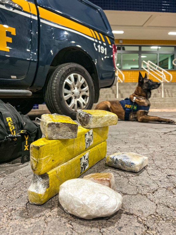 WhatsApp Image 2023-04-27 at 10.10.54.jpeg