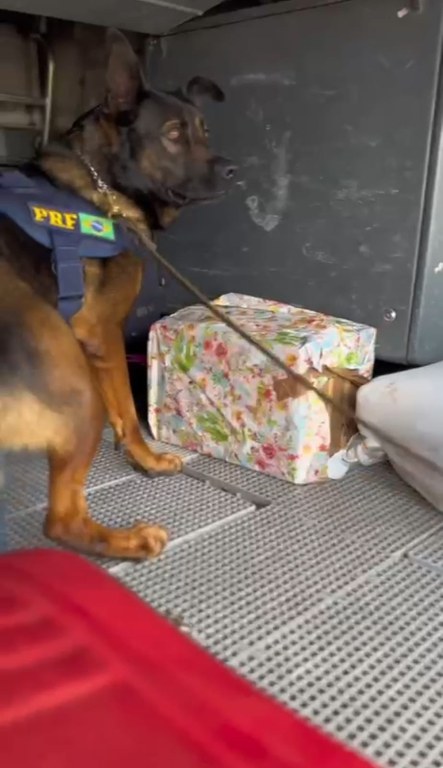 WhatsApp Image 2023-04-17 at 14.12.11.jpeg