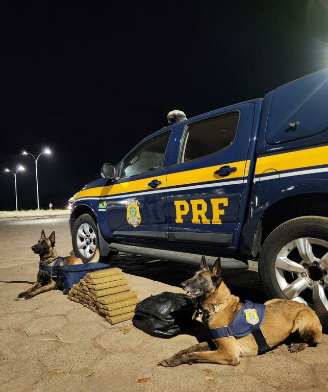 WhatsApp Image 2023-08-26 at 11.42.31.jpeg