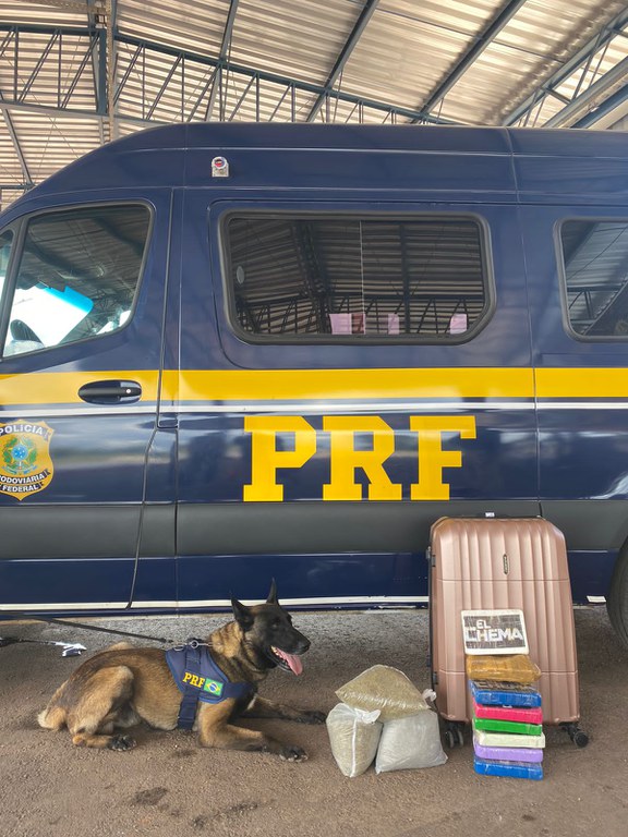 WhatsApp Image 2023-02-09 at 14.20.43.jpeg