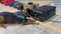 Operação Extremos - PRF apreende drogas e contrabando em Simolândia (GO)