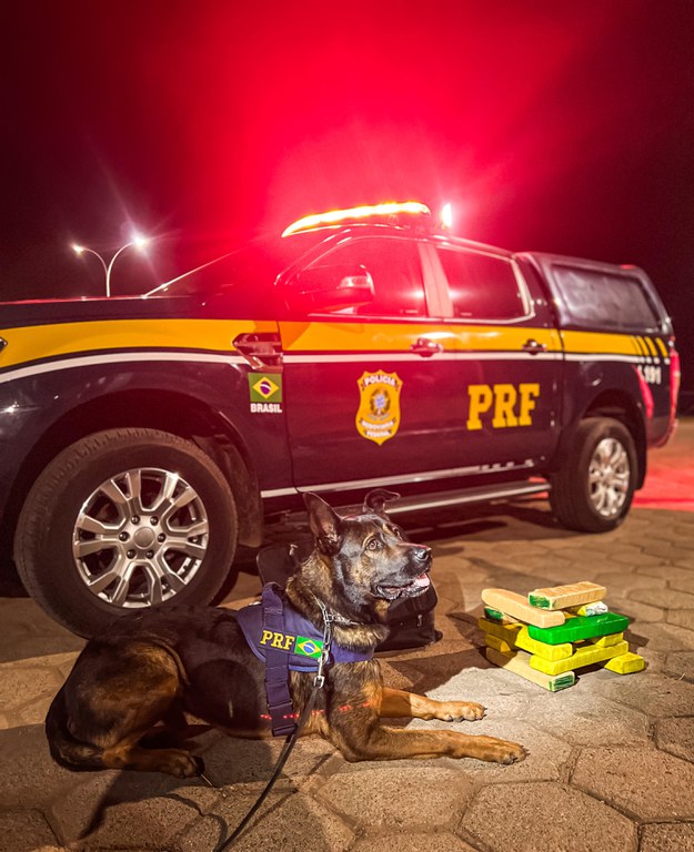 WhatsApp Image 2024-04-29 at 23.28.51.jpeg