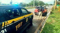 PRF apreende veículo clonado próximo à BR 040