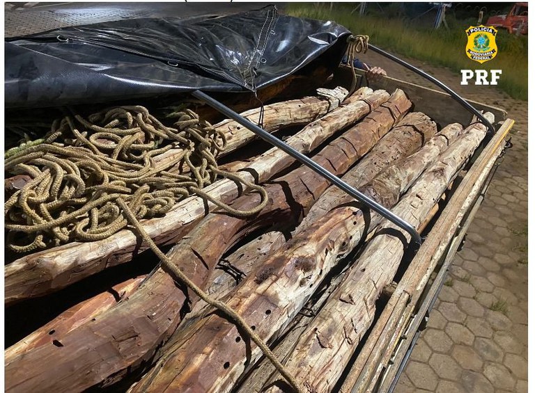 WhatsApp Image 2024-01-22 at 13.42.55.jpeg