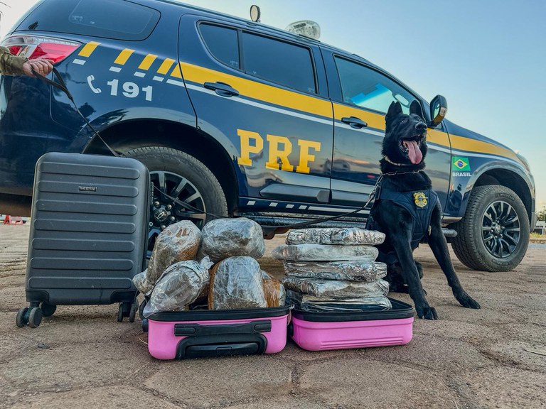 WhatsApp Image 2025-08-14 at 18.38.05.jpeg