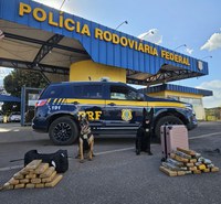 PRF prende duas mulheres com quase 30 kg de maconha na BR-060