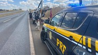 PRF prende foragido da justiça na BR-020, em Planaltina/DF