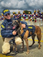 Cães da PRF são homenageados em cerimônia de aposentadoria
