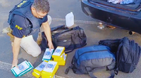 PRF e PCDF apreendem 24 quilos de cocaína na BR-060
