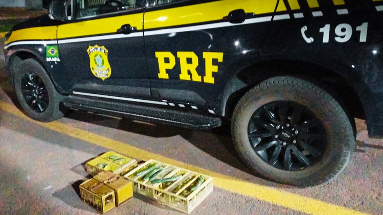 WhatsApp Image 2025-11-03 at 01.12.22 - Editado.jpg