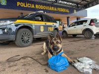 PRF apreende haxixe, maconha e LSD em abordagem na BR-040