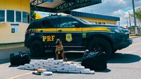 PRF apreende maconha e cocaína em ônibus no DF