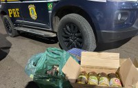 PRF prende nove pessoas por saquear carga de caminhão na BR-060