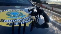 PRF apreende arma e medicamentos irregulares na BR-020, em Planaltina (DF)