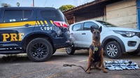 PRF apreende mais de 13 kg de haxixe escondidos no painel de carro na BR-040