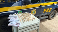 PRF apreende 100 ampolas de medicamento irregular escondidas em fundo falso na BR-060