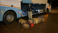 PRF apreende 3kg de maconha em ônibus em Planaltina (DF)