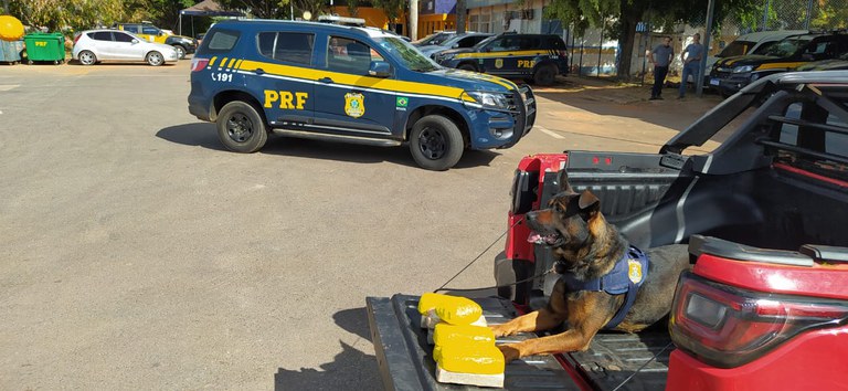 PRF prende homem transportando cerca de 9kg de cocaína no Recanto das Emas (DF)