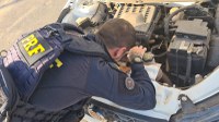 PRF recupera no Recanto das Emas (DF) veículo furtado