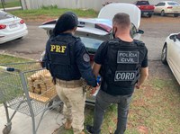 Operação Integrada entre PCDF e PRF resulta na apreensão de meia tonelada de maconha em Cocalzinho de Goiás (GO)