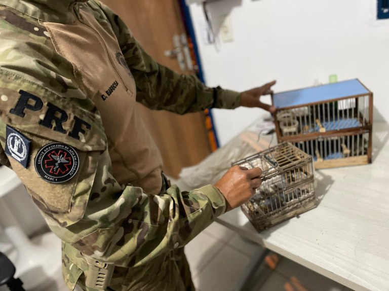 WhatsApp Image 2022-02-18 at 10.50.32.jpeg