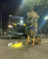 PRF prende homem por tráfico de drogas na BR 020, em Planaltina/DF