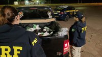 PRF recupera dez bezerros em situação de maus-tratos e apreende 1470 comprimidos de anfetamina na BR 020, próximo a Planaltina-DF