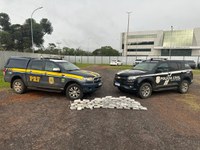 PRF e PCDF apreendem 61,5kg de skunk em Brasília/DF