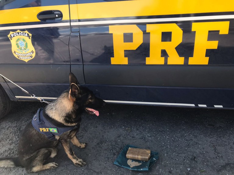 photo_4961113751948471200_y (1).jpg