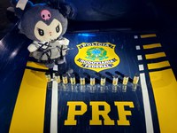 PRF apreende anabolizantes escondidos em urso de pelúcia em Baixo Guandu/ES
