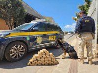 PRF apreende 50 tabletes de pasta base de cocaína em Baixo Guandu/ES