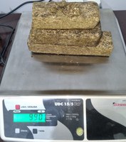 PRF apreende quase 1 kg de maconha em Linhares